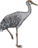 Heron Standing On One Leg Clip Art